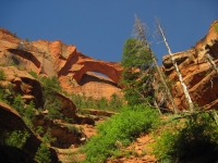 Photo of Kolob Arch