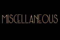 Kombat Champion (Part 3)